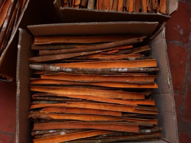 SPLIT CASSIA COMPETITIVE PRICE FROM VIET NAM 