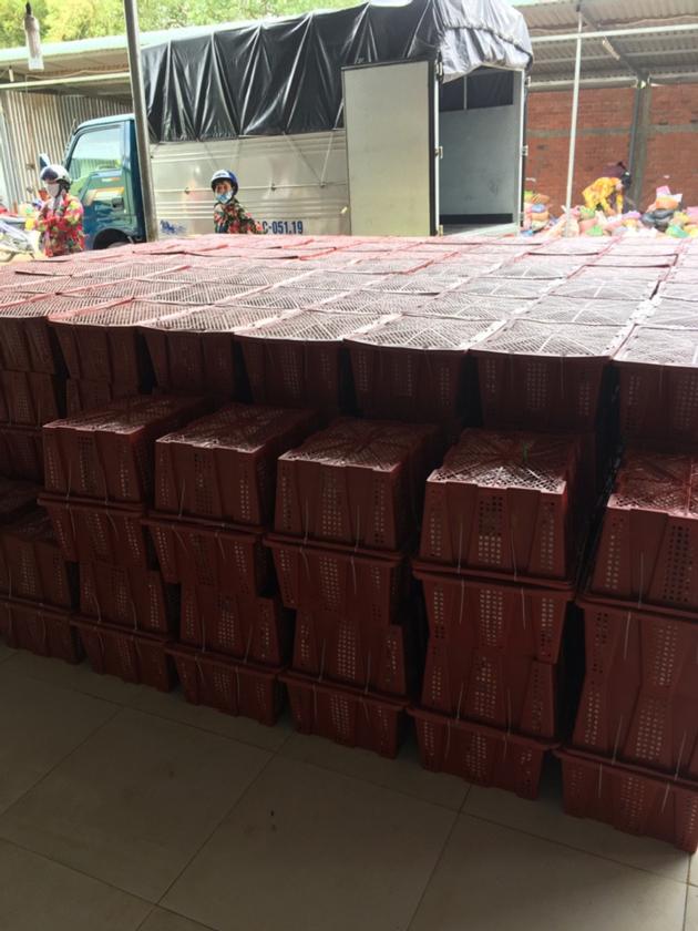 SELL FRESH RED CHILLI WITH COMPETITIVE