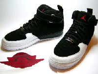 jordan 12 fusion
