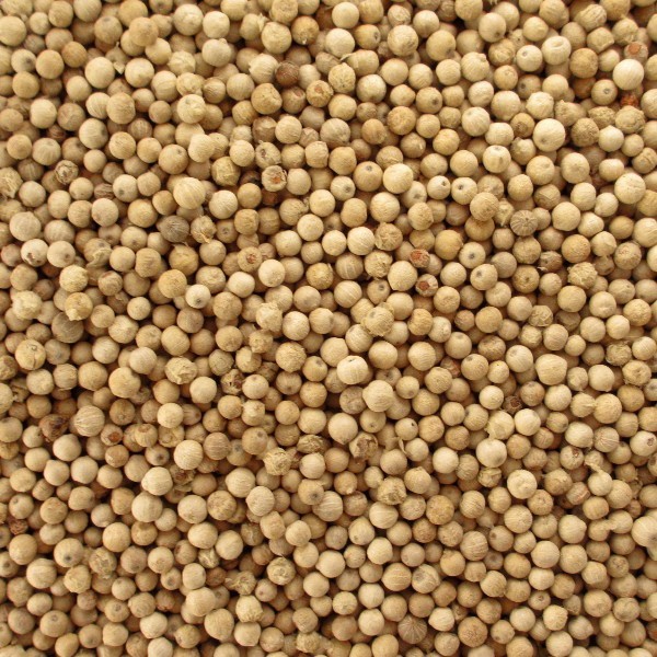 Quality Organic White Pepper/ Poivre Blanc