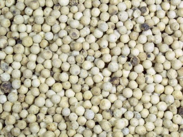 Quality Organic White Pepper Poivre Blanc