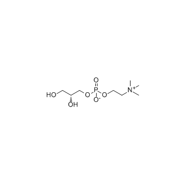L-Alpha-Glycerylphosphorylcholine(L-α-GPC)