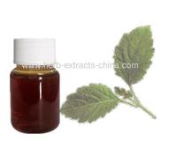 100% Natural Patchouli Oil 