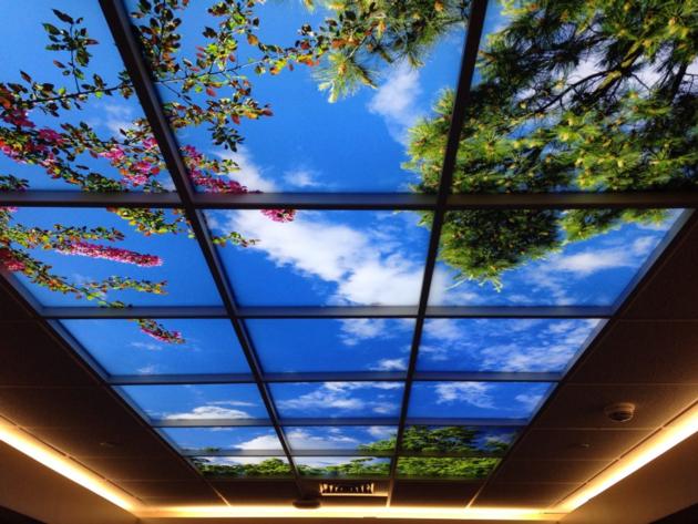 2019 fashionable Shanghai Wholesale  PVC stretch ceiling film