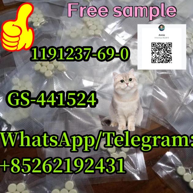 Hot Selling Injection Powder Tablet FIP