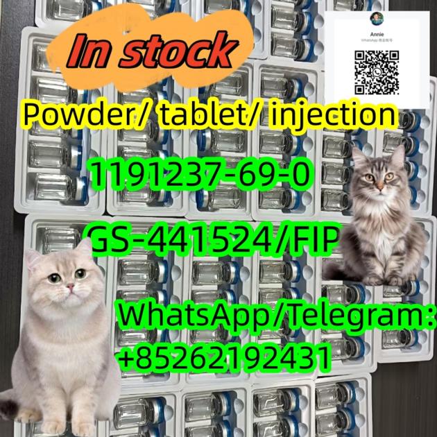 In stock and free sample CAS1191237-69-0 GS-441524 99%