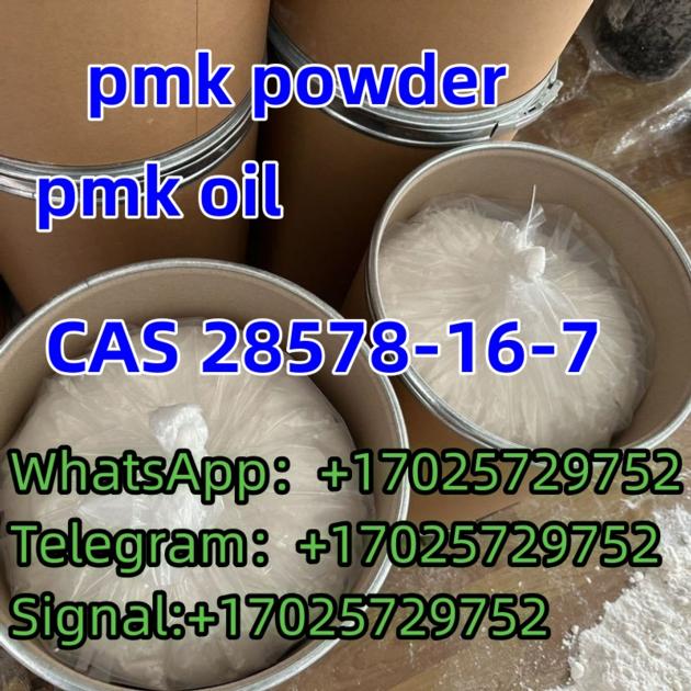 CAS 28578-16-7 PMK OIL PMK Powder