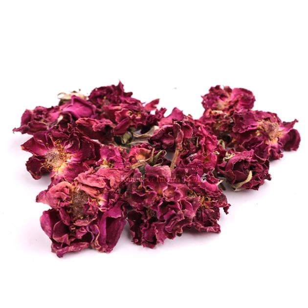 Premium Pakistani Rose Flowers Export Quality
