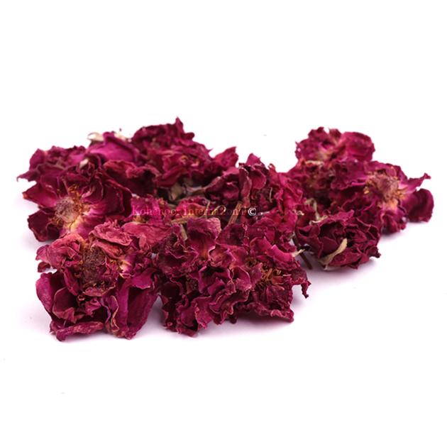 Premium Pakistani Rose Flowers Export Quality