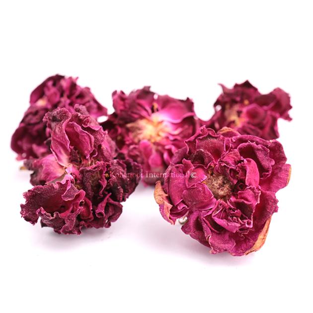 Premium Pakistani Rose Flowers Export Quality