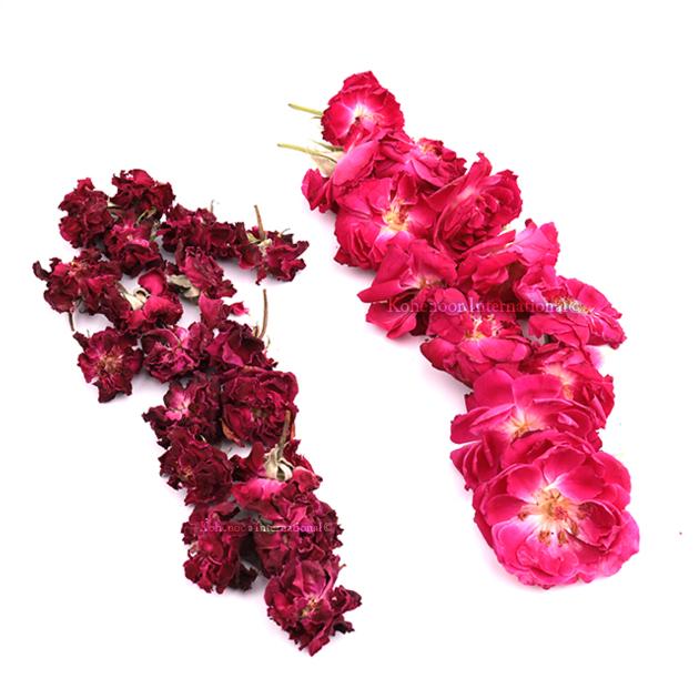Premium Pakistani Rose Flowers Export Quality