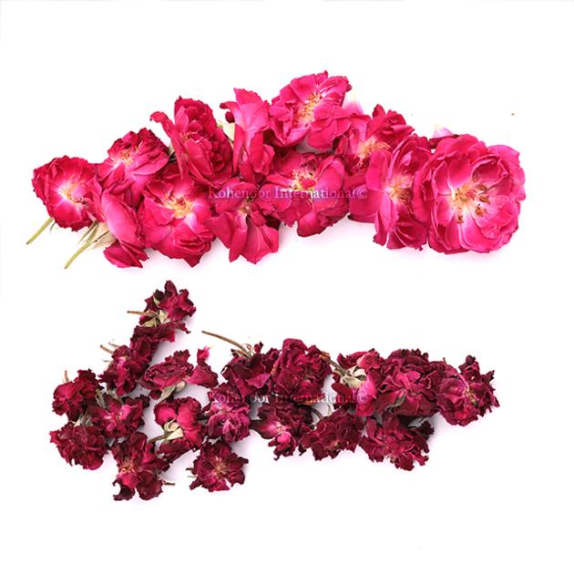 Premium Pakistani Rose Flowers Export Quality