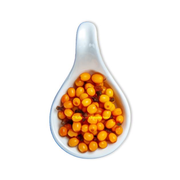 Sea Buckthorn Berries Premium Quality Direct