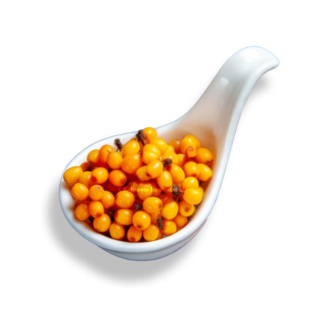 Sea Buckthorn Berries Premium Quality Direct