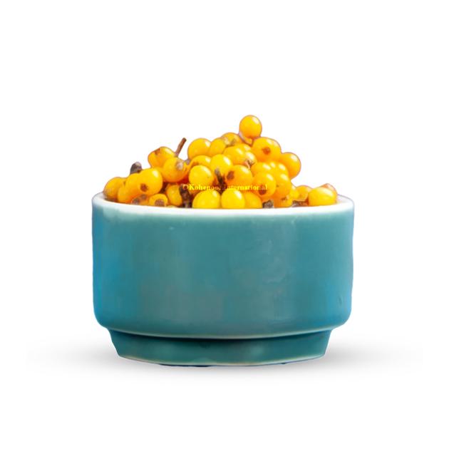 Sea Buckthorn Berries Premium Quality Direct