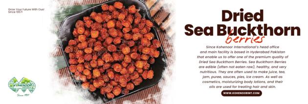 Sea Buckthorn Berries - Premium Quality, Direct from Wild Farms