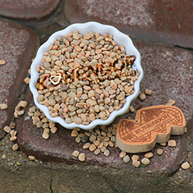 Quality Guar Seeds For Agro Amp