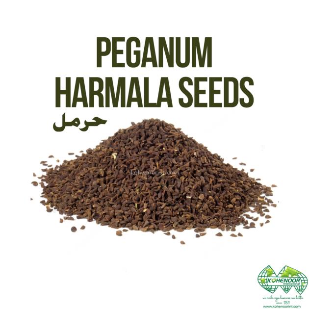 Harmal Seeds Potent Medicinal Treasures For