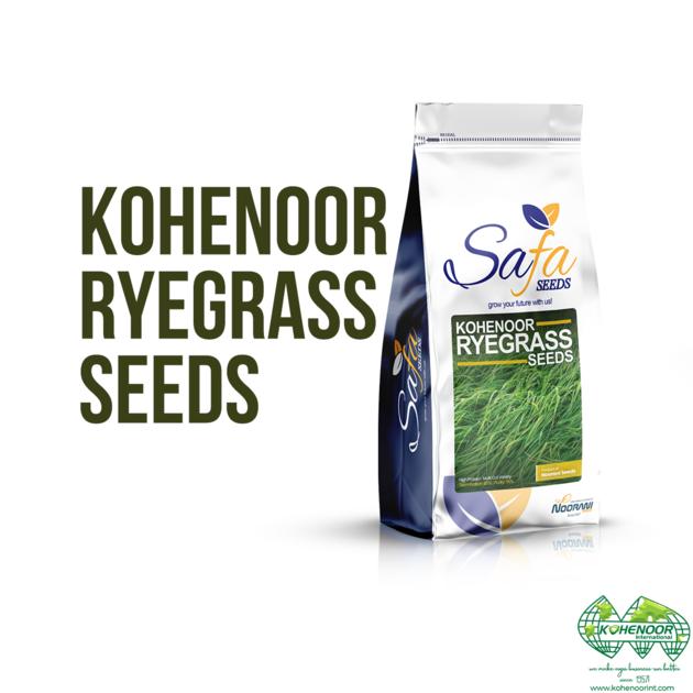 Kohenoor Ryegrass Seed Boost Forage Quality