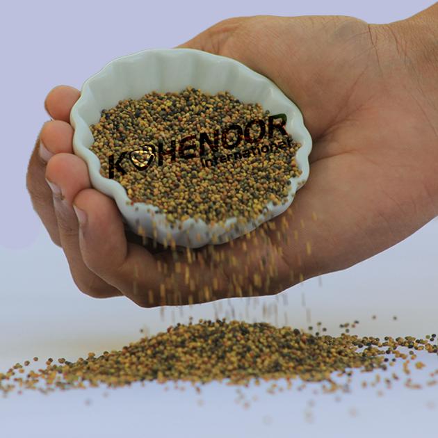 Premium Persian Clover Seed Exceptional Quality