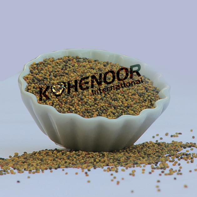 Premium Persian Clover Seed Exceptional Quality