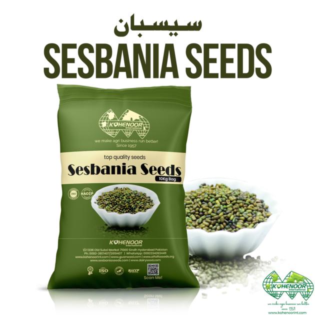 Sesbania Seed - Boost Agriculture with Quality Export