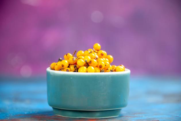 Sea Buckthorn Berries Premium Quality Direct