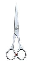 Salon Scissors