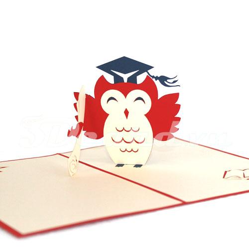 Owl Graduation 3d pop up handmade card