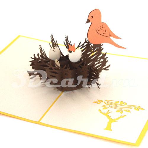 Bird Nest 3d card-pop up card-greeting card-birthday card