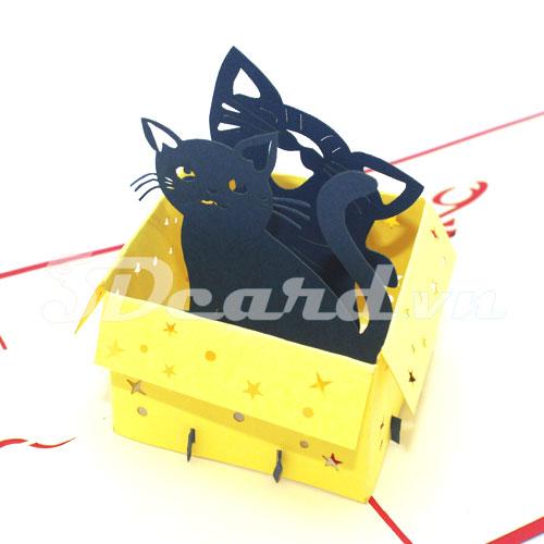 Cat in box 3d card pop up card greeting card birthday card