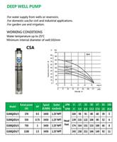 DEEP WELL PUMP S100QJD3