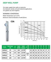 DEEP WELL PUMP  S4SPM2
