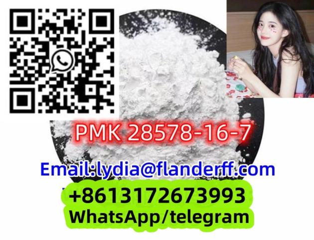 CAS 28578-16-7 PMK Ethyl Glycidate 