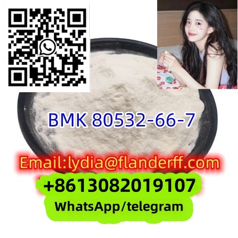 BMK 80532-66-7 methyl glycidate
