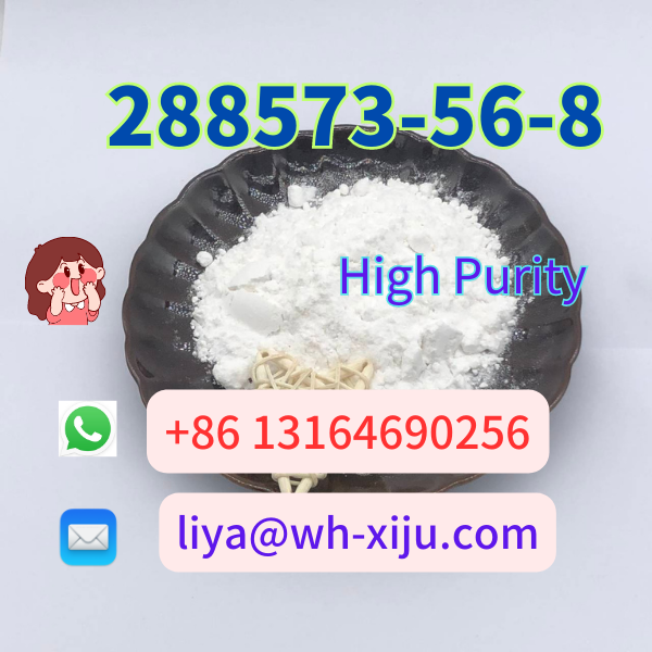 CAS 288573 56 8 Tert Butyl