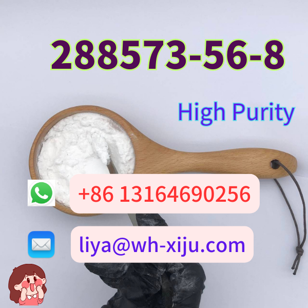 CAS 288573 56 8 Tert Butyl