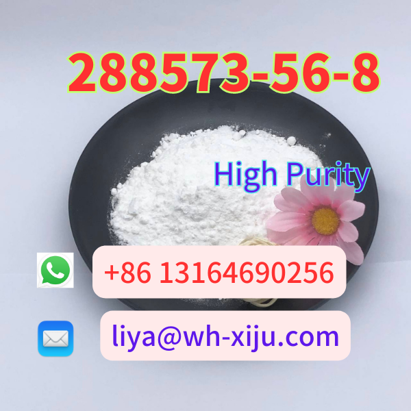 CAS 288573 56 8 Tert Butyl