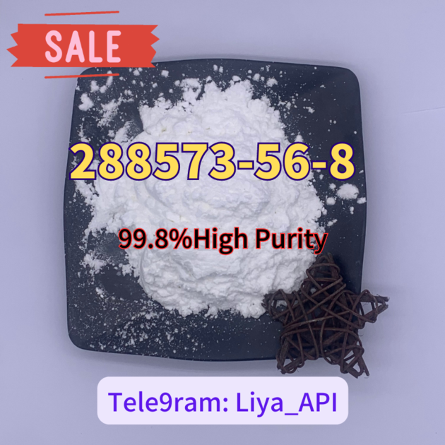 CAS 288573 56 8 Tert Butyl