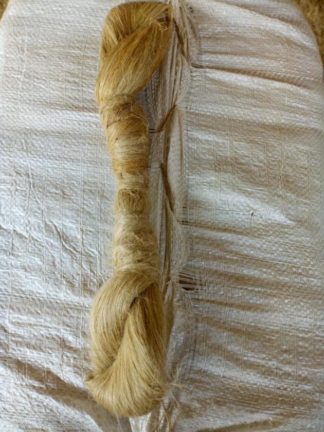 Scutched Long Flax Scutched Tow Short