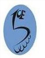 fivetoeshoes