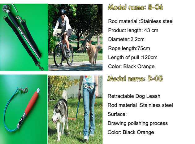 Hands Free Bicycle Dog Leash