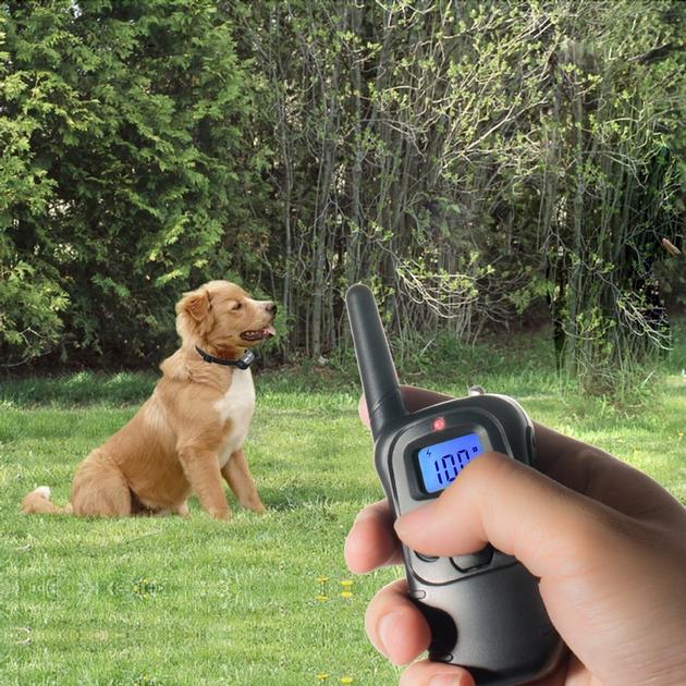 300m High Quality Remote Dog Training