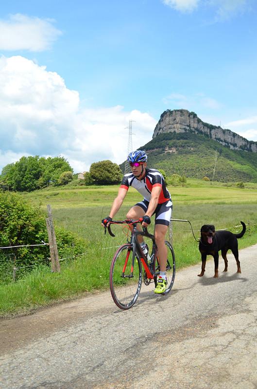 Hands Free Bicycle Dog Leash