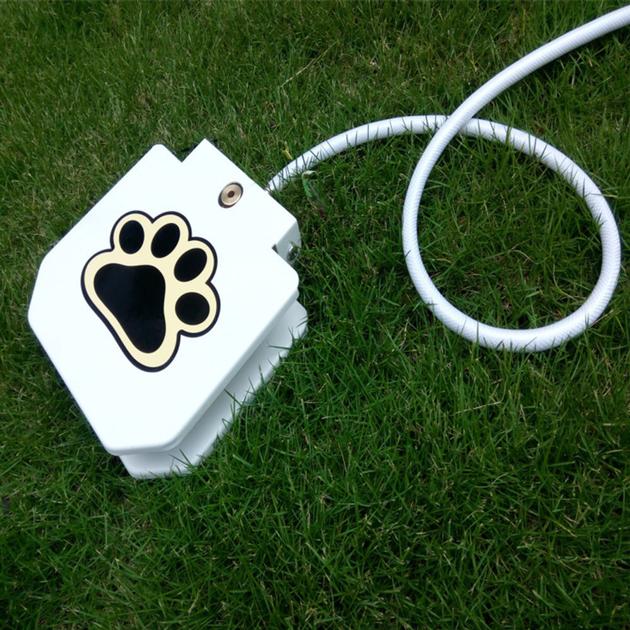 outdoor dog water paw fountain