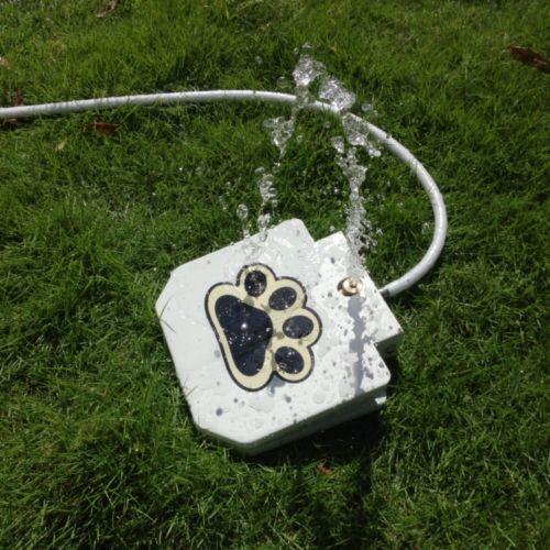 Outdoor Dog Water Paw Fountain
