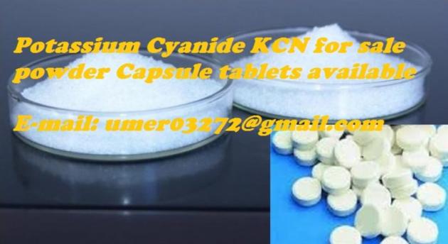 Sell potassium cyanide ( KCN ) pills and powder 99.99%.