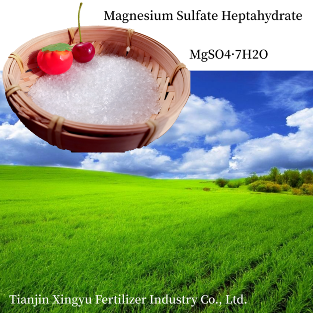 Sulphate Magnesium Heptahydrate