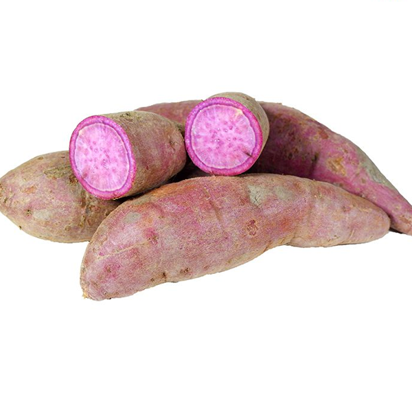 New Sale Purple Fresh Potatoes From Viet Nam