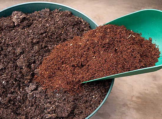 COCO PEAT FOR PLANTIN